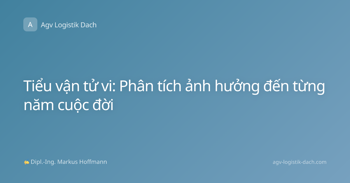 Tiểu vận tử vi: Phân tích ảnh hưởng đến từng năm cuộc đời